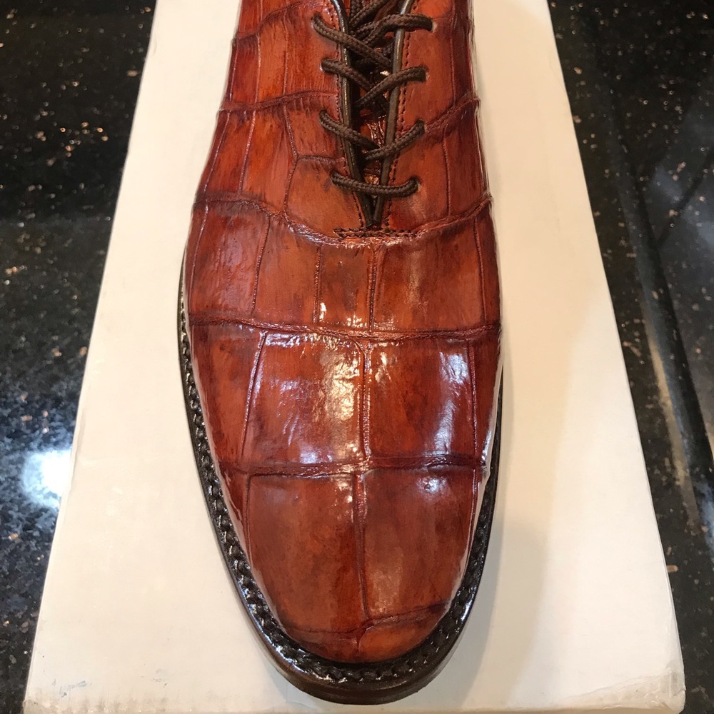 Alligator shoes